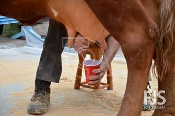 Los Llanos de Telde, en el día grande de sus fiestas patronales de 2019 (Foto Francisco Javier Santana)